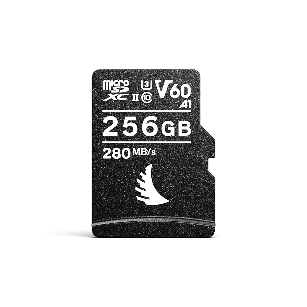 AV PRO microSD 256 GB V60 | 1 PACK - Light + Byte